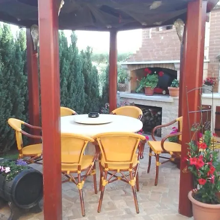 Andrea Green Oasis
